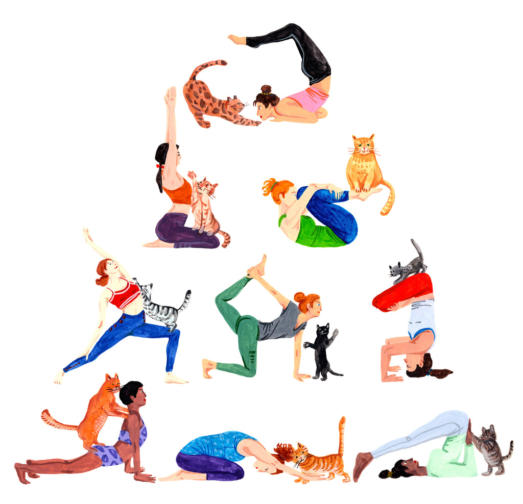Yoga with Cats