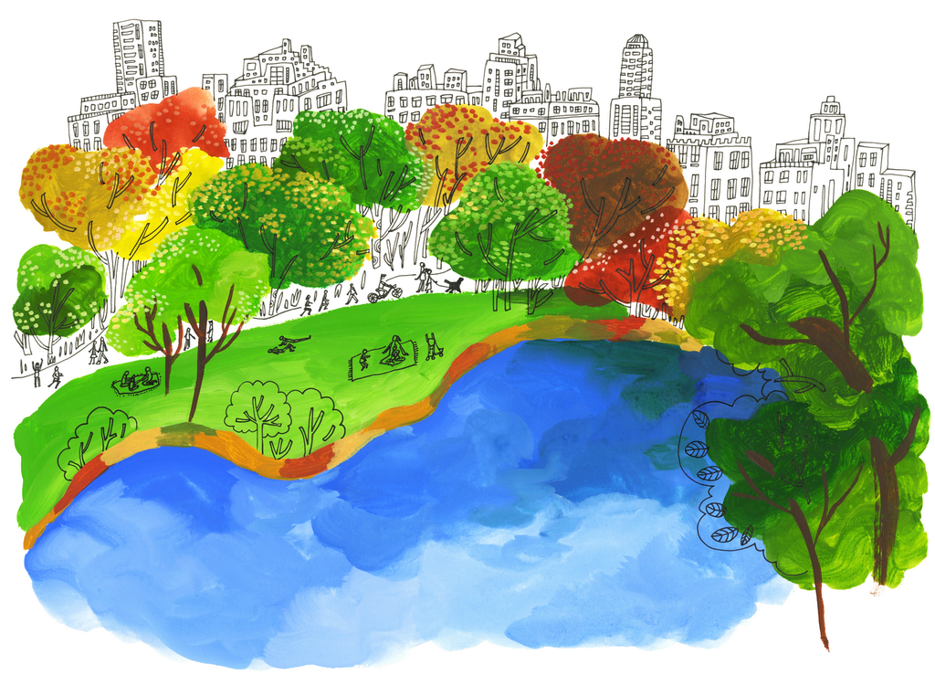 Plentiful Parks - Central Park NYC