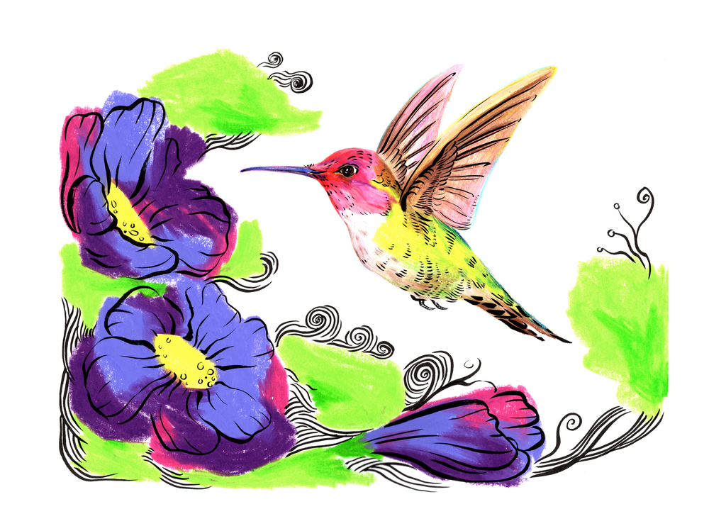 Hummingbird Love
