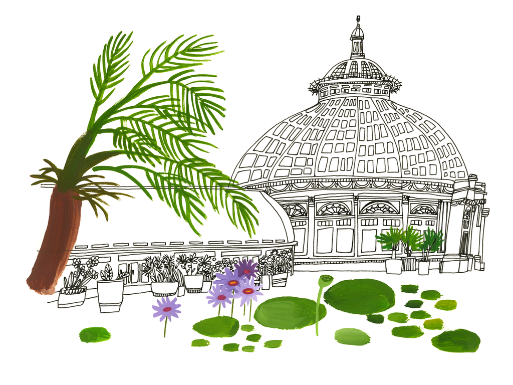 New York Botanical Garden