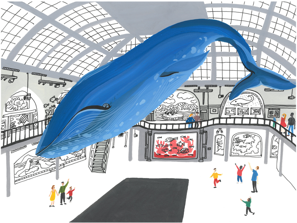 A Whale of a Time - American Museum of Natural History